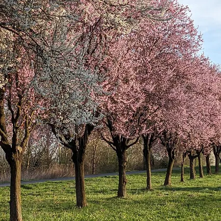 Prázdninový dům Haz A Hold Utcaban *