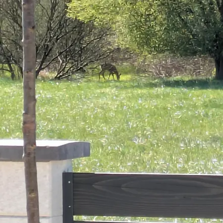 Prázdninový dům Haz A Hold Utcaban Kehidakustány