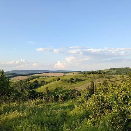 Haz A Hold Utcaban Kehidakustány