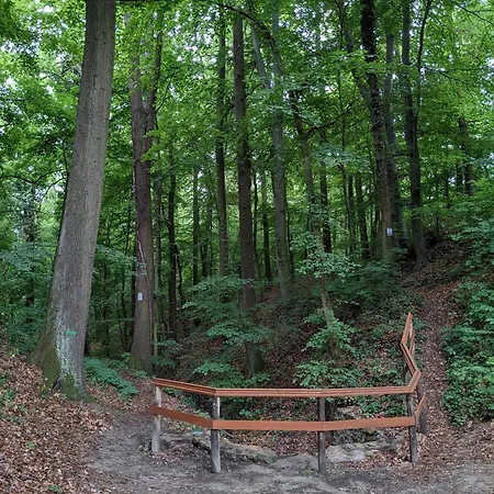 Haz A Hold Utcaban Prázdninový dům Kehidakustány