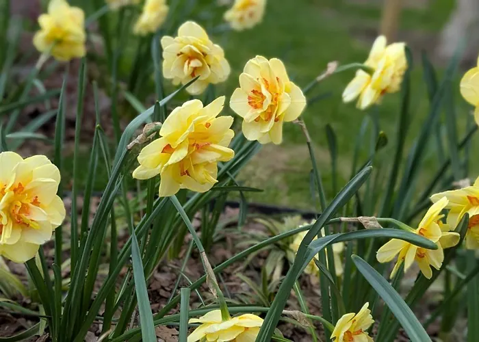 Σπίτι διακοπών Haz A Hold Utcaban *