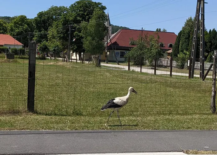 Haz A Hold Utcaban *