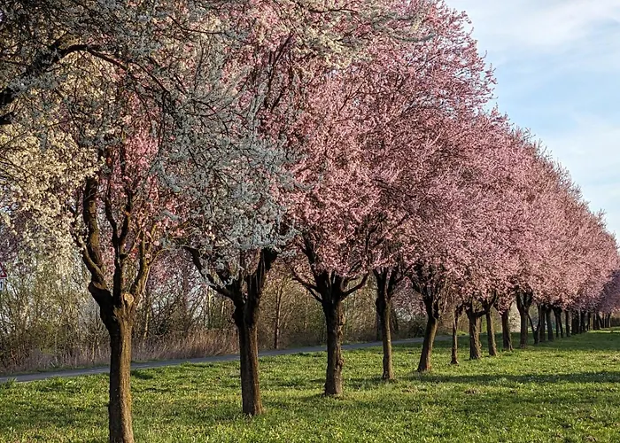 Σπίτι διακοπών Haz A Hold Utcaban *