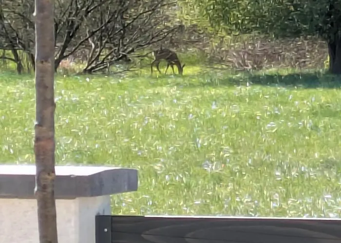 Ferienhaus Haz A Hold Utcaban Kehidakustány