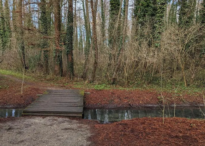 Haz A Hold Utcaban Kehidakustány